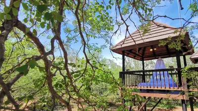 a gazebo in the middle of a tree at Kruger Kumba - Mugwenzi in Marloth Park