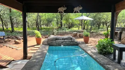 a swimming pool with two giraffes hanging above it at Kruger Kumba - Mugwenzi in Marloth Park