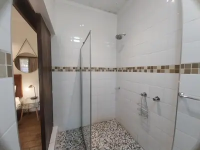 a bathroom with a shower with a glass door at Ratel Street Guesthouse in Pretoria