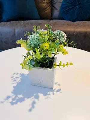 a potted plant sitting on a table at Zinathi Lodge in Polokwane