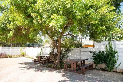 a group of picnic tables under a tree at M n M Guesthouse Polokwane Central in Polokwane