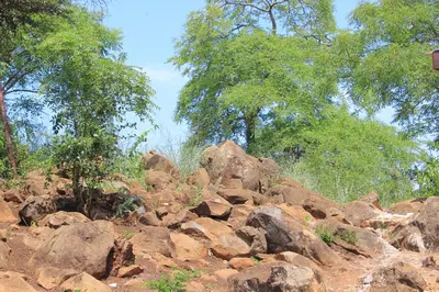 a pile of rocks with trees in the background at BEULAH GROUP BnB in Malamulele