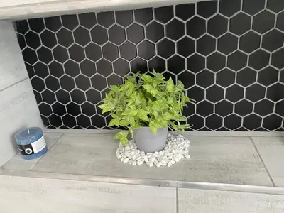 a green plant in a pot on a shelf at The King's Court Guest Manor in Bela-Bela
