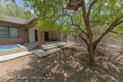 a house with a tree and a swimming pool at Mamba Bush House in Marloth Park