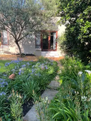 a garden with blue flowers in front of a house at Olive Branch Cottage off grid in Benoni