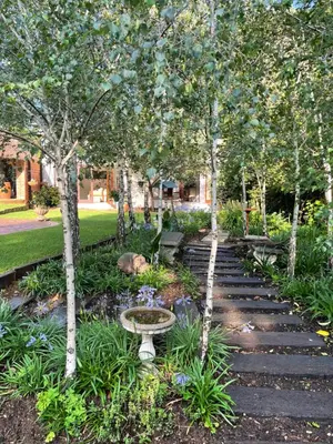 a garden with a bird bath and trees at Olive Branch Cottage off grid in Benoni