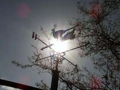 a weather vane with the sun in the sky at Pheasant's Crest in Marloth Park