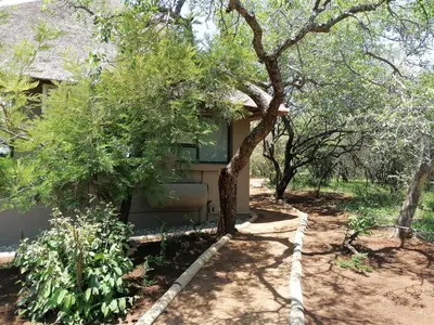 a house with trees in front of it at Amukela Kaya in Hoedspruit