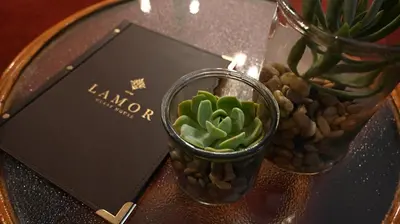 a table with a vase with a plant on it at LUXURY ROOM @ 4 STAR GUEST HOUSE in Middelburg