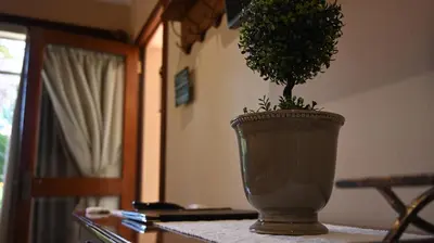 a plant in a vase sitting on a table at LUXURY ROOM @ 4 STAR GUEST HOUSE in Middelburg