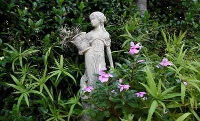 a statue of an angel in a garden with pink flowers at LUXURY EN-SUITE ROOM WITH LOUNGE @ 4 STAR GUEST HOUSE in Middelburg