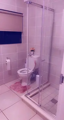 a bathroom with a toilet and a shower at RnR Crystal Lagoon in Pretoria