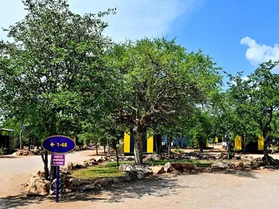 a street sign in front of a tree at SleepOver Beitbridge in Musina