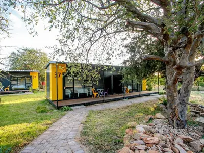 a yellow tiny house in a park with a tree at SleepOver Beitbridge in Musina