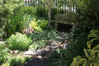 a garden with a bench and some plants at LUXURY EN-SUITE KING ROOM @ 4 STAR GUEST HOUSE in Middelburg