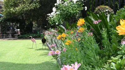 two flamingos standing in a garden with flowers at LUXURY FAMILY EN-SUITE ROOM @ 4 STAR GUEST HOUSE in Middelburg