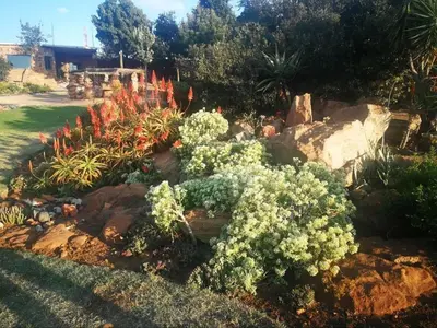 a garden with flowers and plants in a yard at Bronberg Bastion in Tierpoort