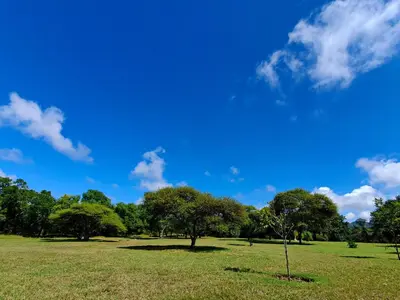 a green field with trees and a blue sky at Summerset Place Country House in Bela-Bela