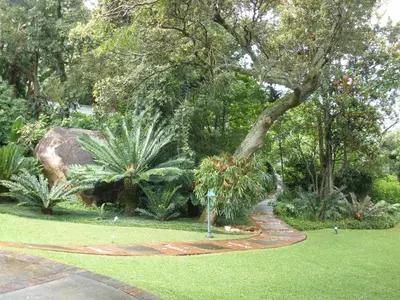 a garden with trees and plants and a walkway at Jörn's Gästehaus in Nelspruit