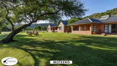 a house on a lawn with a tree in the yard at Lindani Game and Lodges in Vaalwater