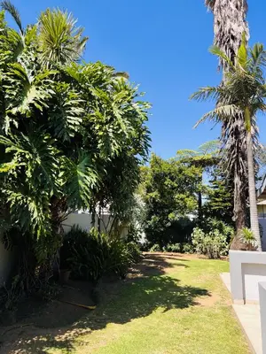a garden with palm trees and a house at Zindiza Guesthouse in Witbank
