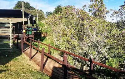 a wooden walkway next to a house with a fence at Chosen Glamping Tents in Graskop