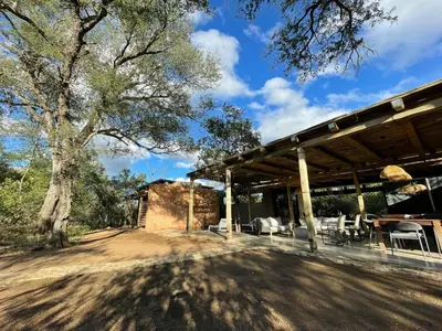 a large building with a tree in front of it at Rixile Kruger Lodge in Skukuza