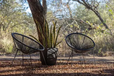 two black benches sitting next to a potted plant at Rixile Kruger Lodge in Skukuza