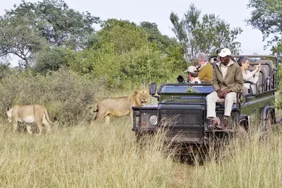a group of people riding in the back of a safari truck at Kambaku River Sands in Timbavati Game Reserve