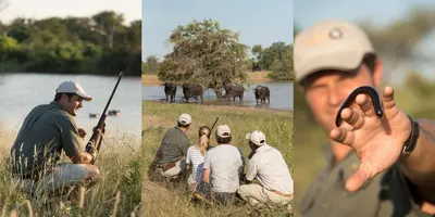 a group of people in a field with elephants at Kambaku River Sands in Timbavati Game Reserve