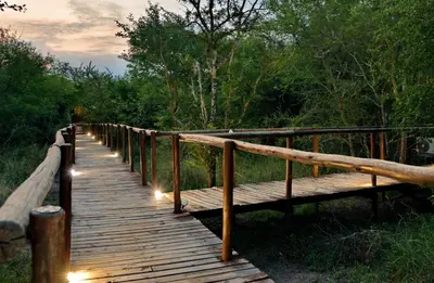 a wooden bridge with lights on it in the woods at Kruger Safari Lodge in Manyeleti Game Reserve