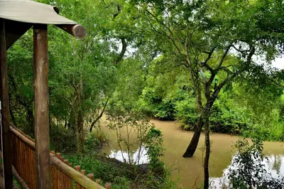 a view of a river with a fence and trees at Kruger Safari Lodge in Manyeleti Game Reserve