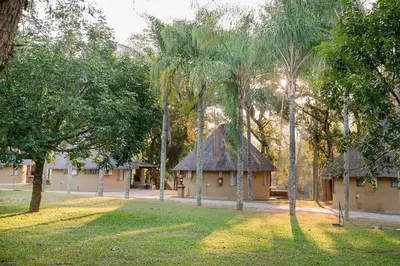 a building with a thatched roof in a park with trees at Aan De Vliet Holiday Resort in Hazyview