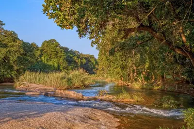 a river with trees on the side of it at Aan De Vliet Holiday Resort in Hazyview