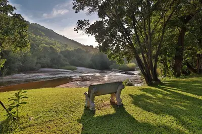 a statue of a horse standing in the grass near a river at Aan De Vliet Holiday Resort in Hazyview