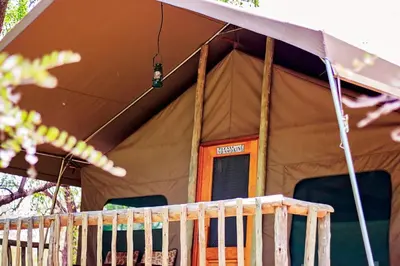 a large tent with a fence in front of it at Mount Marula Game Lodge - Tambotie in Kwarriekraal