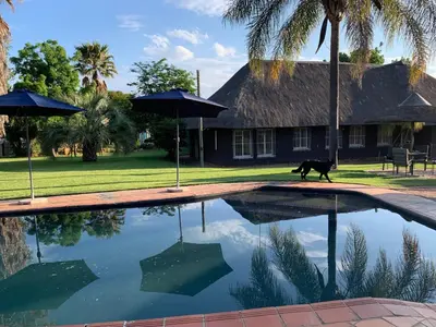 a dog walking next to a swimming pool at Sunset Guesthouse and Venue Cullinan in Meule