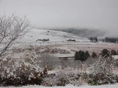 a group of horses in a field in the snow at Watersmeet cottages in Dullstroom