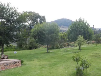 a green field with trees and a stone wall at Watersmeet cottages in Dullstroom