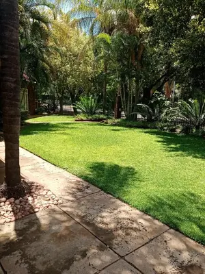 a green lawn with a palm tree and a sidewalk at De la Rose Guesthouse in Lephalale