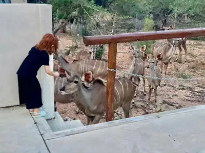 a woman is looking at a group of deer at Marloth Park, Kruger safari house - solar in Marloth Park