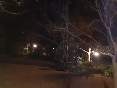 a cross in front of a tree at night at In Da Bush in Modimolle