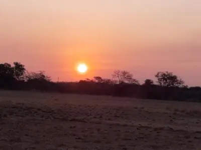 a sunset in a field with the sun in the sky at In Da Bush in Modimolle