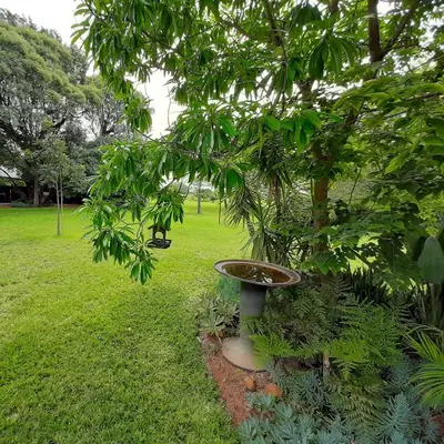 a bird bath next to a tree in a park at In Da Bush in Modimolle
