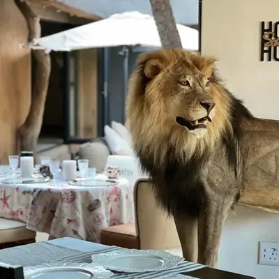 Simba Safaris African Pride Exotic Lodge