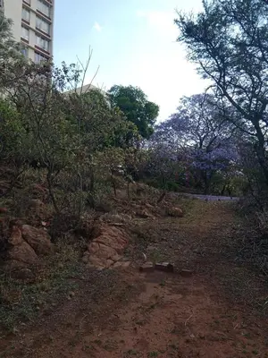 a park with trees and a building in the background at Private Room Chez Khanyi Homestays in Pretoria