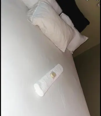 a roll of toilet paper sitting on top of a bed at Motjatji B&B in Burgersfort
