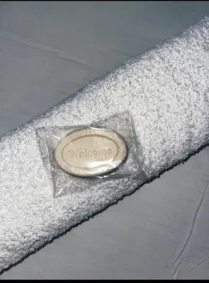 a close up of a label on a grey blanket at Motjatji B&B in Burgersfort