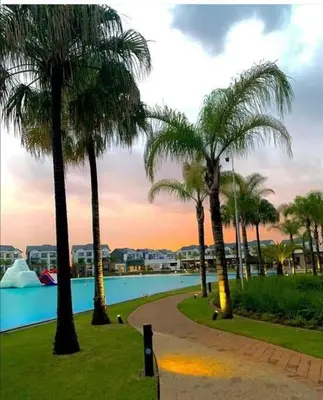 a group of palm trees next to a swimming pool at The Blyde Apartment 1287 in Pretoria