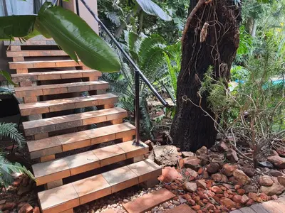a wooden staircase next to a tree in a garden at The Crooked Forest in Pretoria